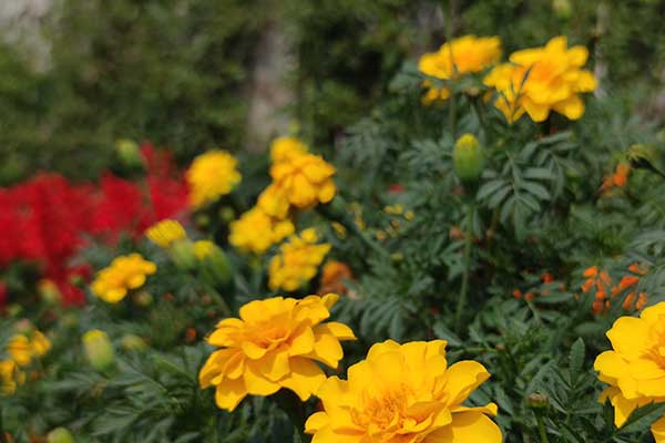 沈陽殯葬禮儀服務 沈陽殯葬禮儀服務